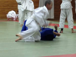 IMG_2416