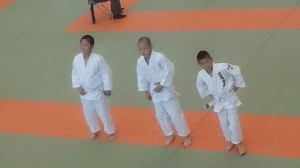 1430745140978[1]