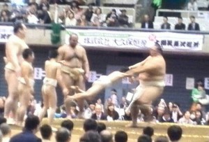 1460185012039-1.jpg
