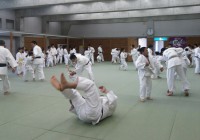 dsc_2466-1.jpg