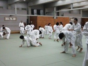 dsc_3013-1.jpg