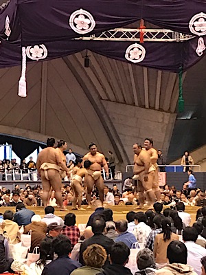 IMG_1547