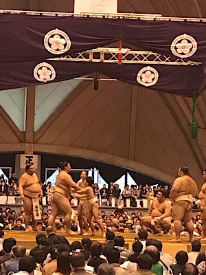 IMG_1550