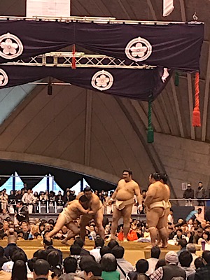 IMG_1551