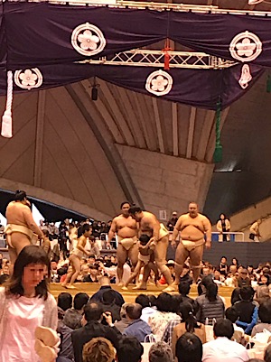 IMG_1557