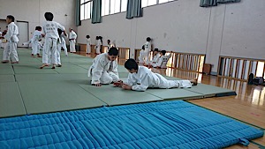 IMG_1952