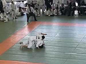 IMG_2176