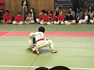 IMG_2346