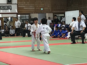 IMG_2350