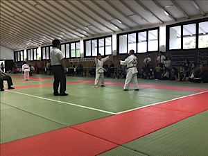 IMG_2369