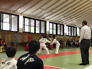 IMG_2386