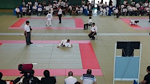 IMG_2531