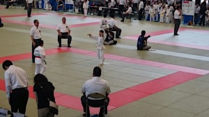 IMG_2548