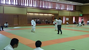 IMG_3351