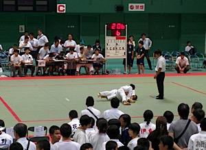 IMG_3487