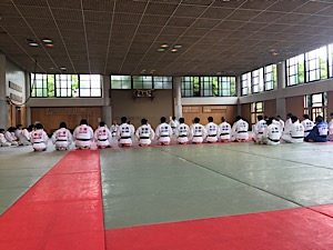 IMG_3781