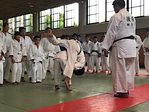 IMG_3786