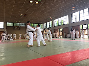 IMG_3800