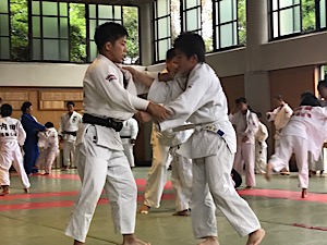IMG_3804