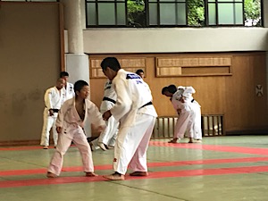 IMG_3810