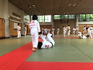 IMG_3812