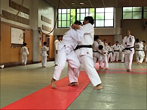 IMG_3815
