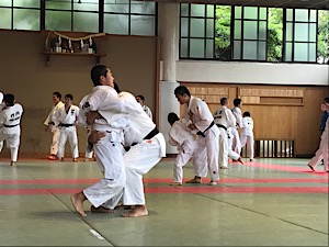 IMG_3817