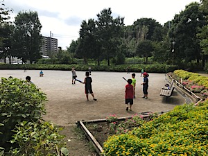 IMG_4225