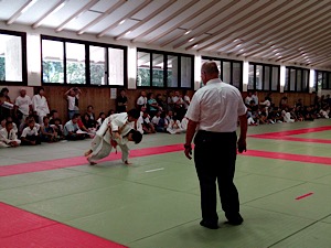IMG_4428