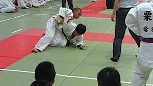IMG_4442