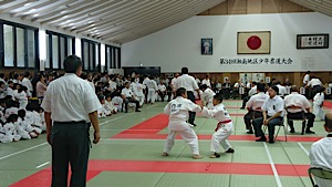IMG_4446