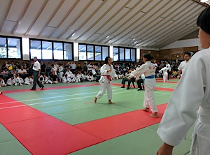 IMG_4452
