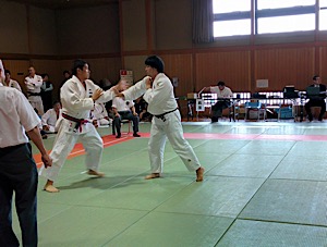 IMG_4547
