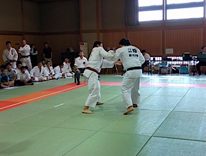 IMG_4548